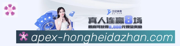 未来规划